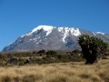 Východní Afrika – Kilimanžáro – foto manželé Pliskovi