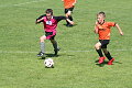 Fotbal přípravka FK Nepomuk Štěnovice 2010