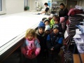 Děti z MŠ Nepomuk navštívily podnik Novila 25. 11. 2010
