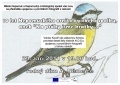 10 let Nepomuckého ornitologického spolku aneb „Na ptáky jsme krátký...“