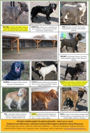 Aktuální nabídka psů – Útulek Němčovice – k 30.11.2012