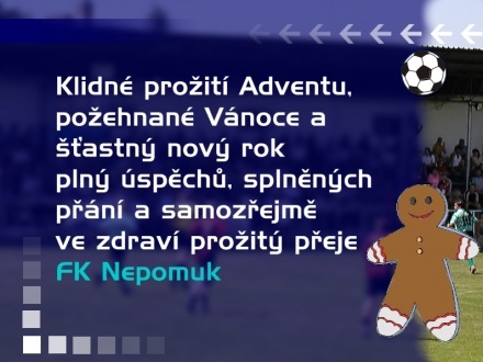 PF 2014 FK Nepomuk