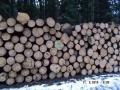 Veřejná zakázka: Nabídka prodeje dřevní hmoty z obecních lesů města Nepomuk 26. 3. 2013
