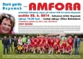 Fotbalový zápas FK Nepomuk SG - AMFORA 22.6.2014
