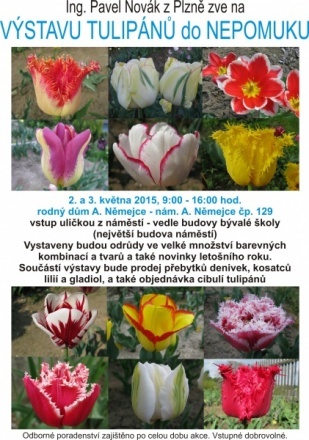 Výstava tulipánů - Nepomuk 2. - 3. května 2015