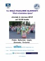 12. MALÉ FOLKLORNÍ SLAVNOSTI “Pod vrčeňskou lípou“ čtvrtek 4. 6. 2015