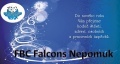 PF2016 FBC Falcons Nepomuk