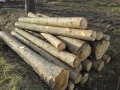 VZ: Prodej dřevní hmoty Nepomuk 07.03.2016
