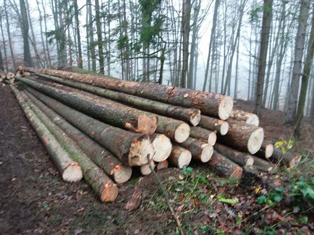 Prodej dřevní hmoty Nepomuk 28.11.2016