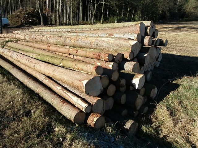Prodej dřevní hmoty Nepomuk 05.12.2016