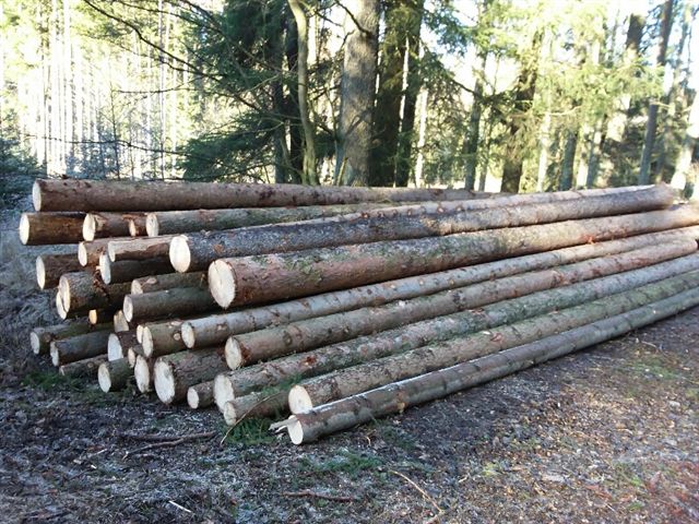 Prodej dřevní hmoty Nepomuk 05.12.2016